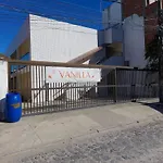 Vanilla - Porto De Galinhas